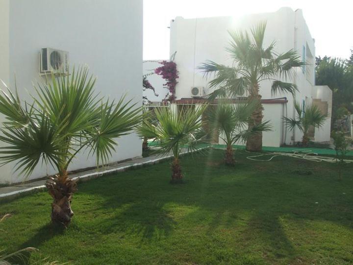 Casa Aria Hotel Gümbet Εξωτερικό φωτογραφία